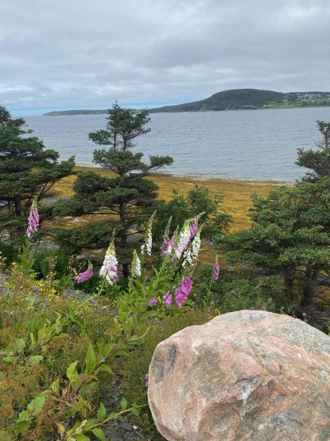 Vila Rocky Harbour Oceanfront Exteriér fotografie
